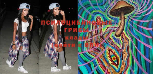 дмт Кинешма