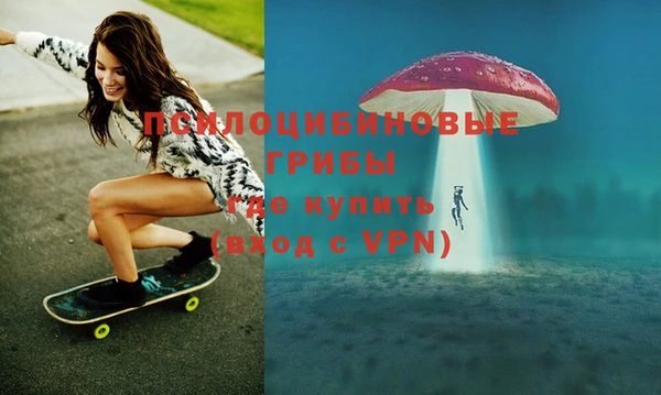 дмт Кинешма