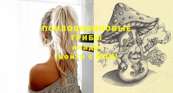 дмт Кинешма