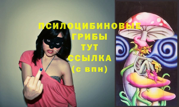 метадон Киреевск