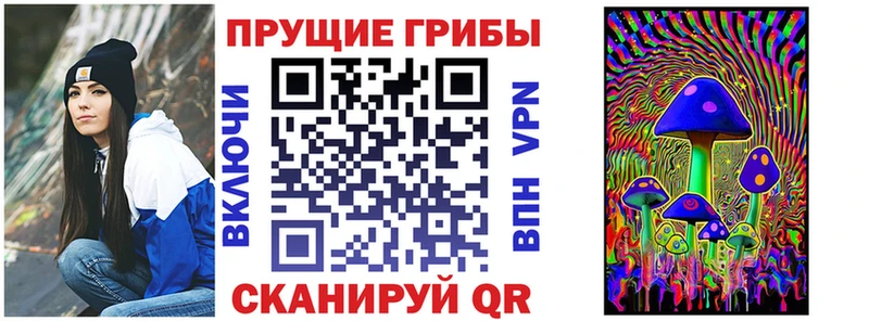 Псилоцибиновые грибы мицелий  Купить закладки  Кропоткин 